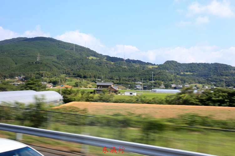 IMG_4009.jpg