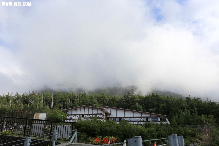 IMG_4099.jpg
