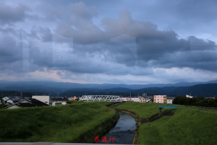 IMG_4123.jpg