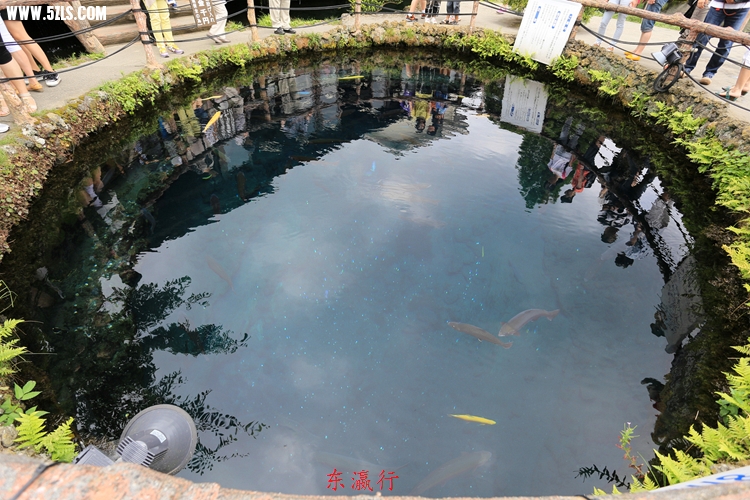 IMG_4173.jpg