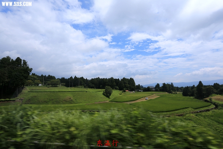 IMG_4203.jpg