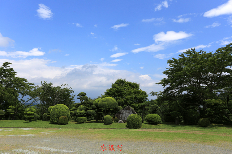 IMG_4212.jpg