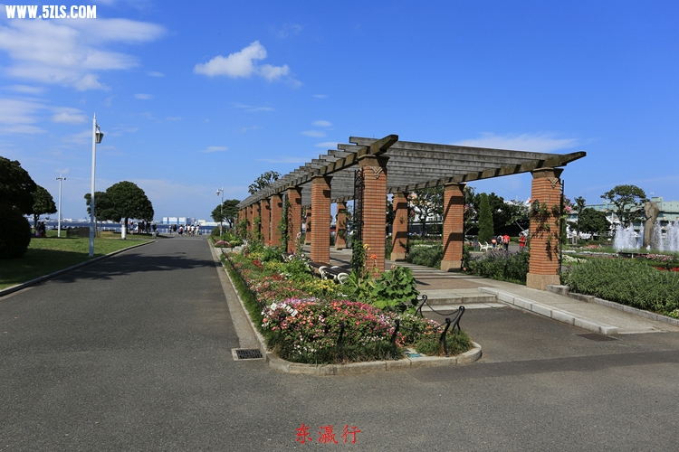 IMG_4249.jpg
