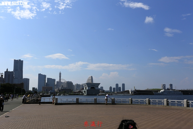 IMG_4255.jpg