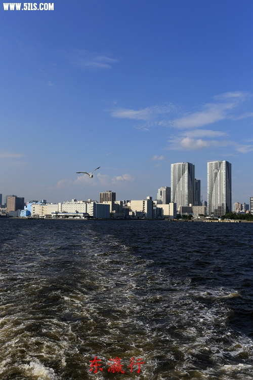 IMG_4315.jpg
