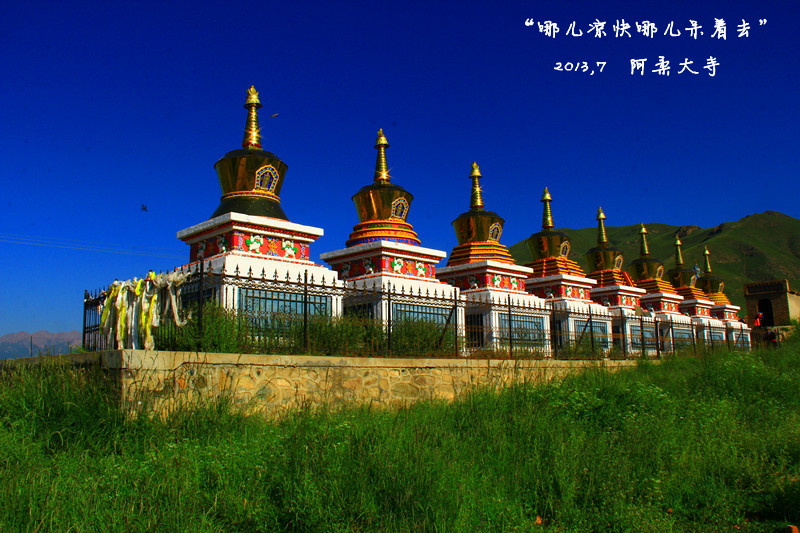 IMG_0969_副本_副本.jpg