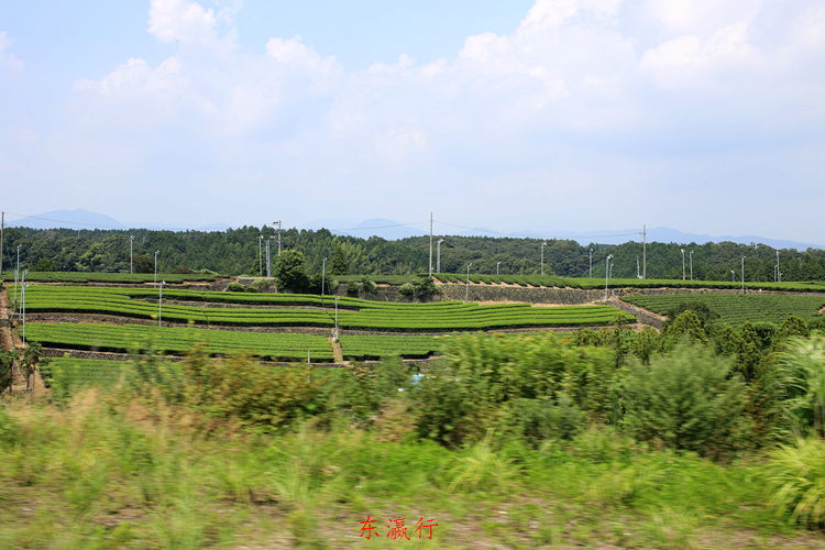 IMG_4737.jpg