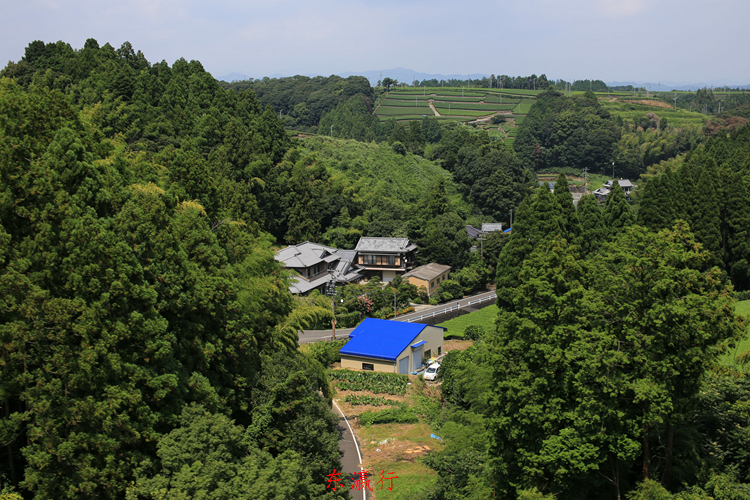 IMG_4738.jpg