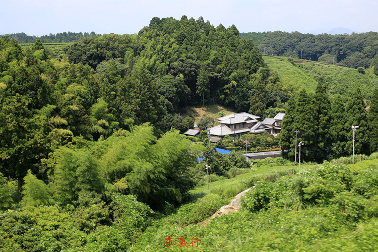 IMG_4739.jpg