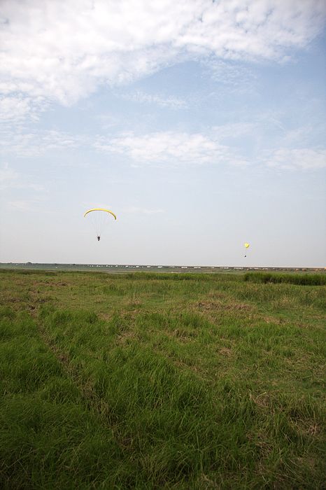 IMG_6513.jpg