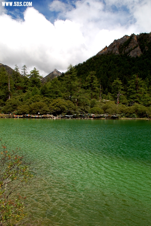 DSC_0331.jpg