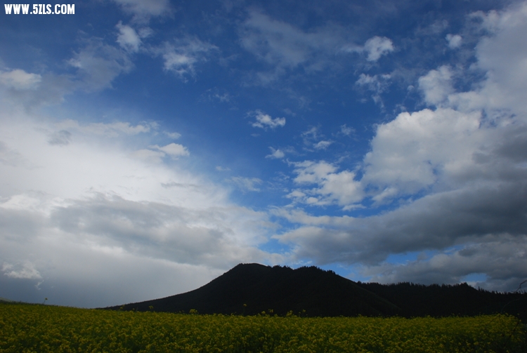 DSC_8968.jpg