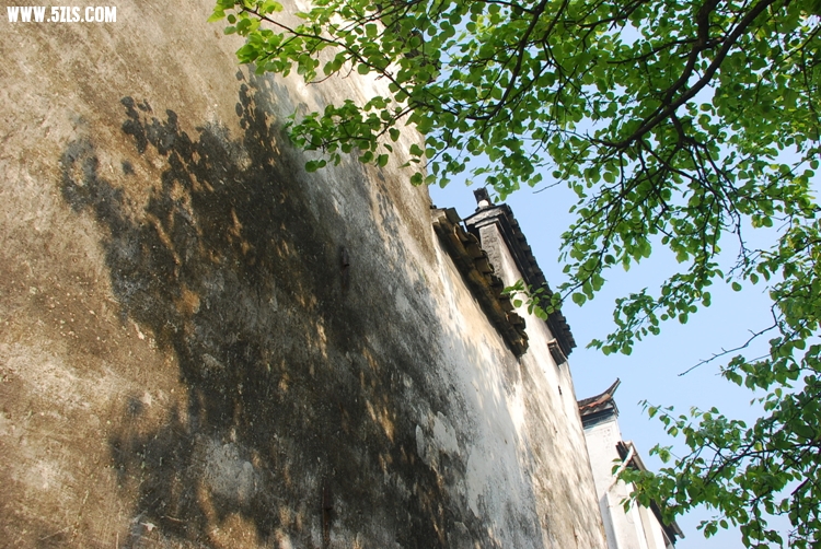 DSC_8763.jpg