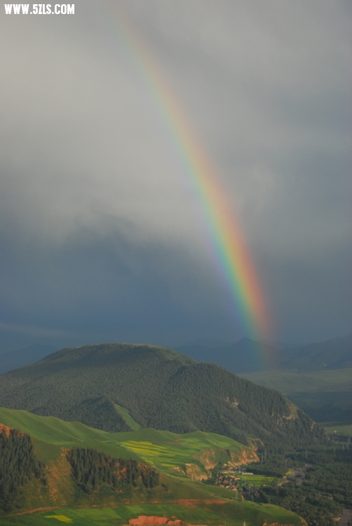 DSC_9009.jpg
