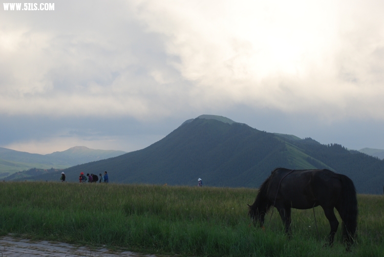 DSC_9015.jpg