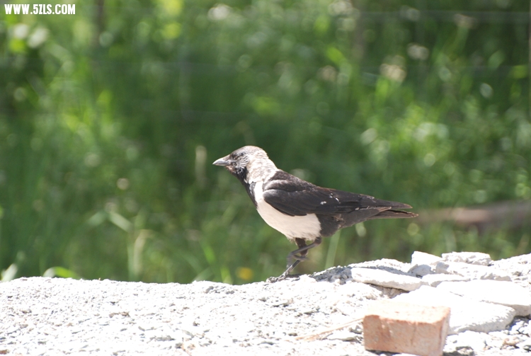 DSC_8937.jpg