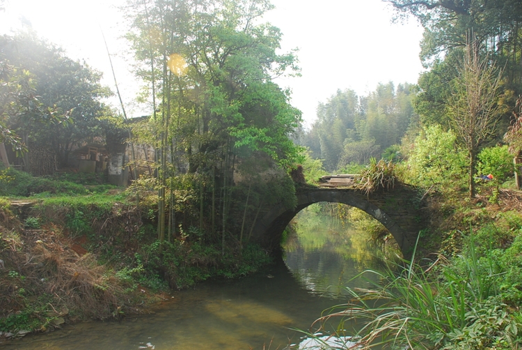 DSC_8760.jpg