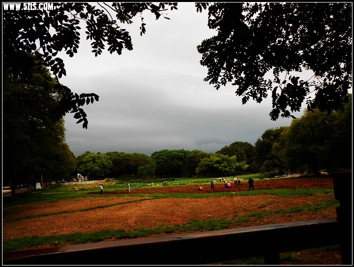 0910 036_.jpg