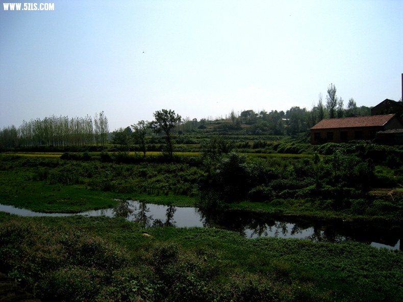 IMG_1172.JPG