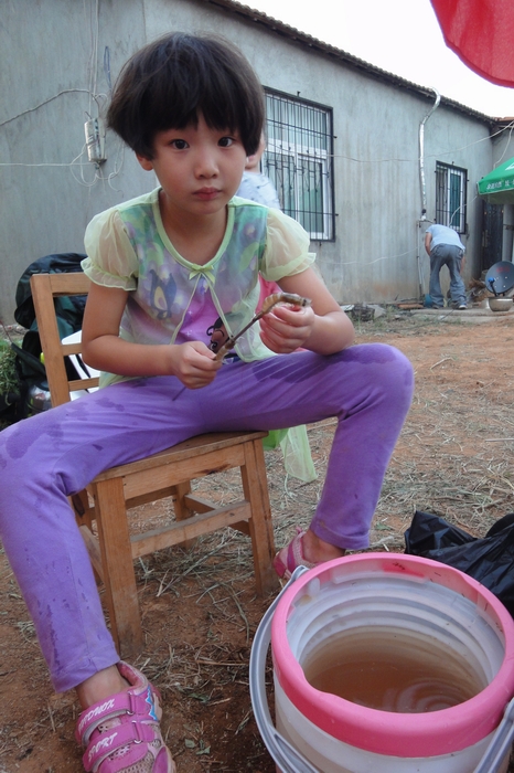 DSC03642.JPG