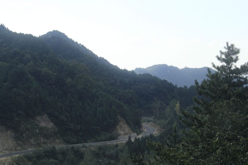 _MG_9886.jpg