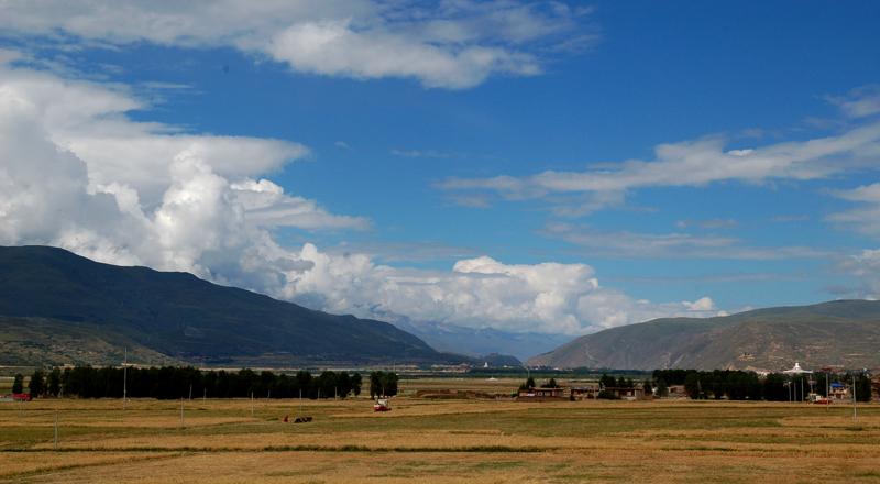 DSC_0259.jpg
