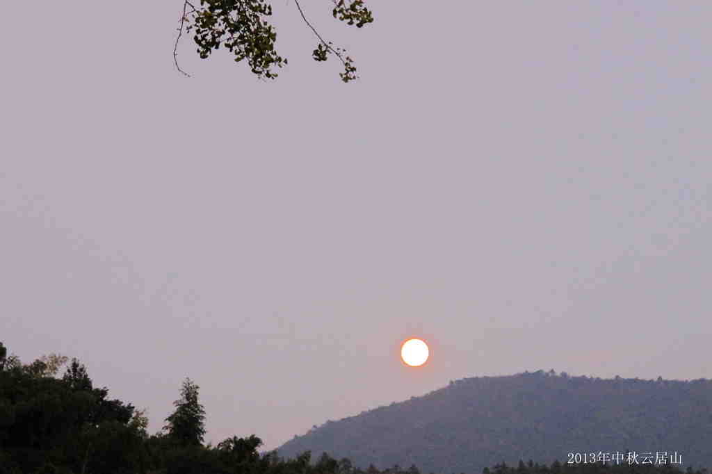 IMG_3264_.jpg