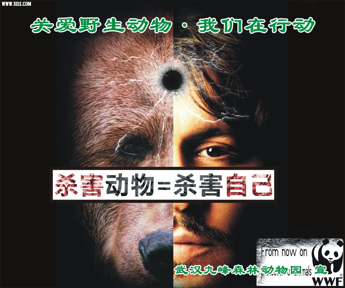 50x60cm-2.jpg