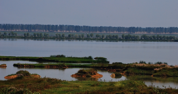 DSC_0376.JPG
