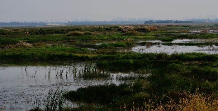 DSC_0455.JPG