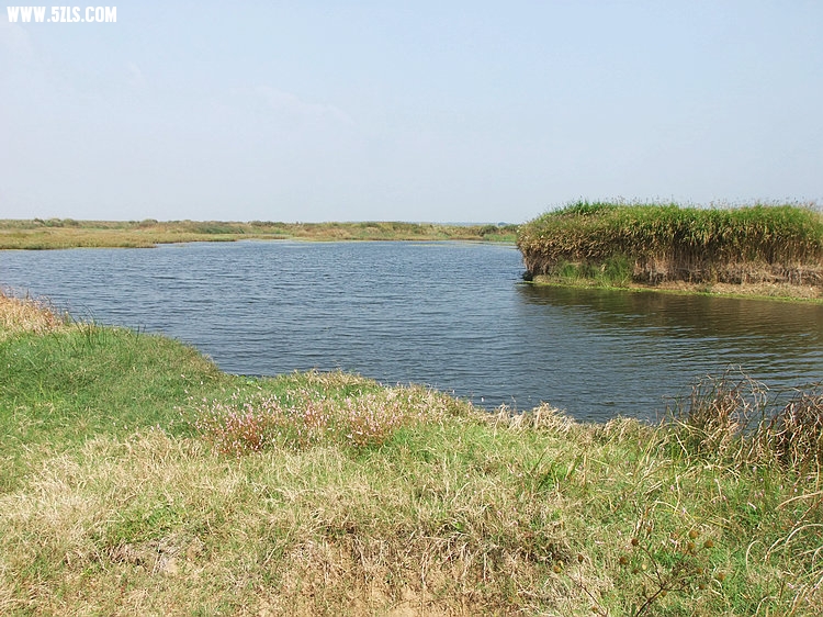 DSCF0753.JPG