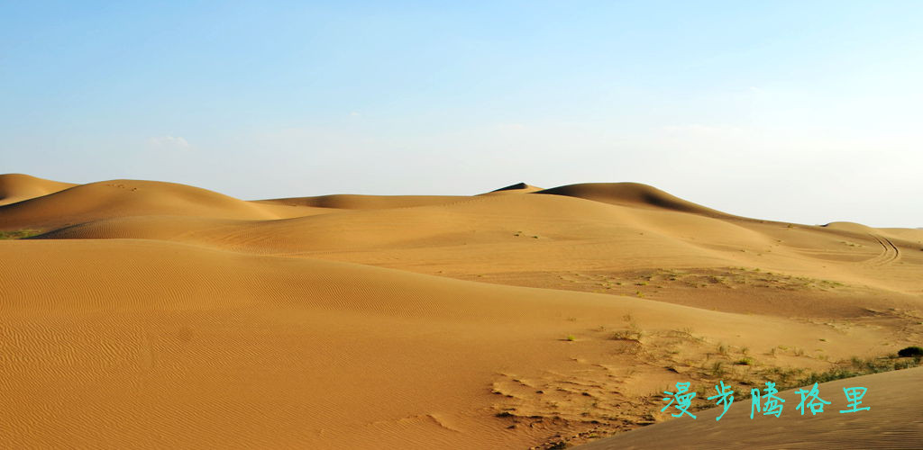 DSC_9547__.jpg