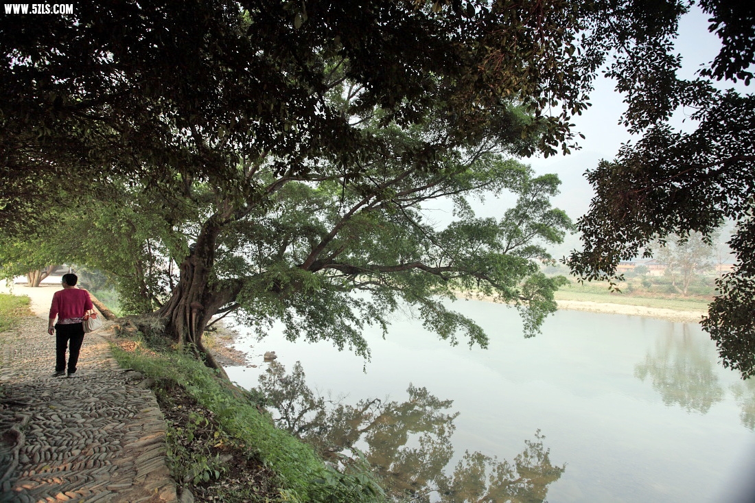 DPP_0344.jpg