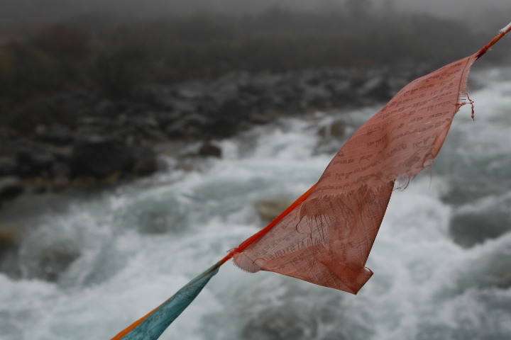 _MG_0286.JPG