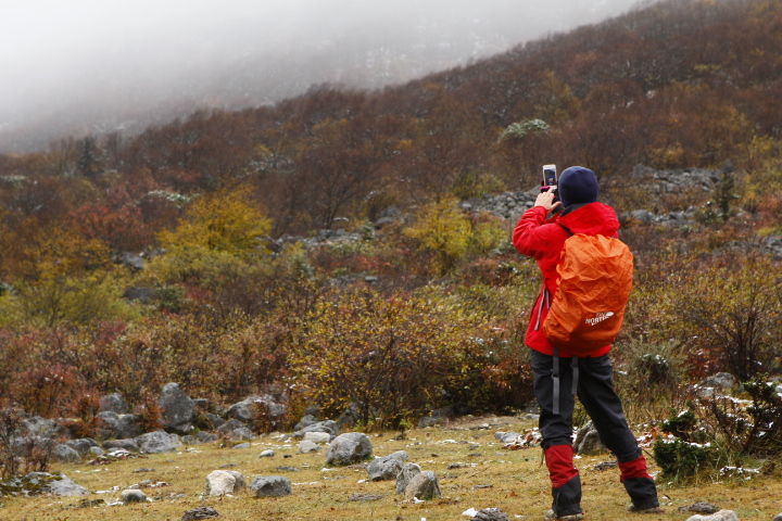 _MG_0323.JPG