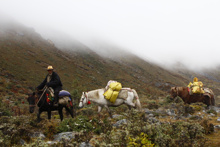 _MG_0350.JPG