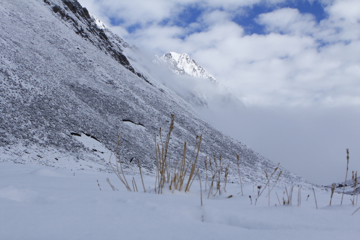 _MG_0040.JPG