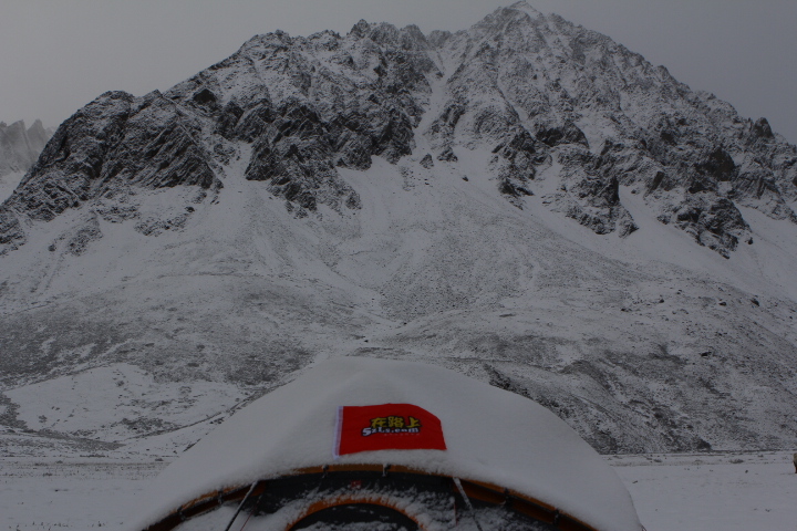 _MG_0016.JPG