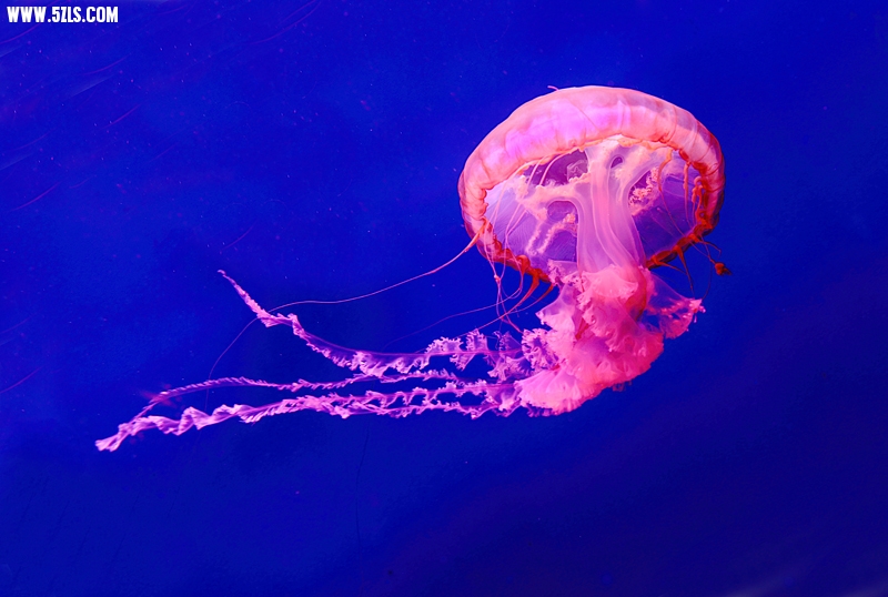 6U0B5443.JPG