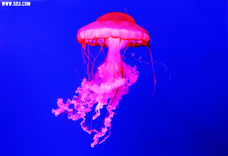 6U0B5447.JPG