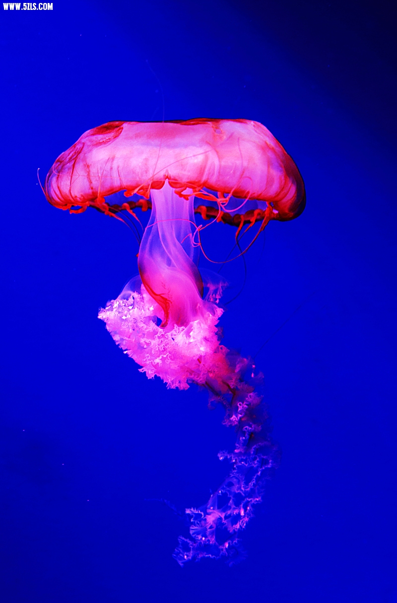 6U0B5475.JPG