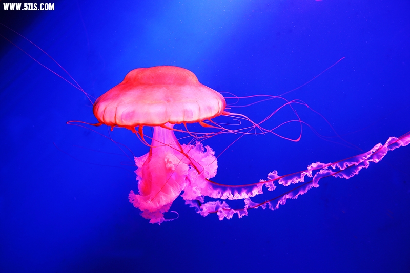 6U0B5660.JPG