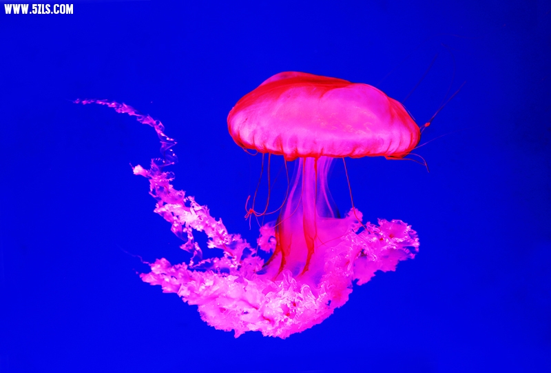 6U0B5784.JPG