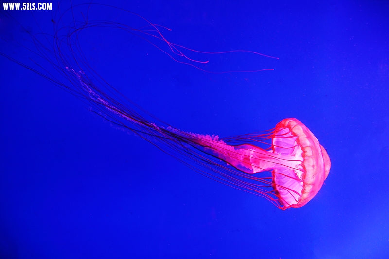 6U0B5795.JPG