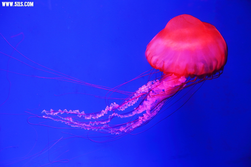 6U0B5826.JPG