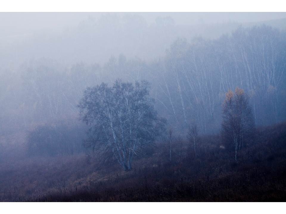 õƬ19.JPG