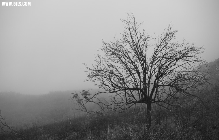 QQͼƬ20131021131634.jpg