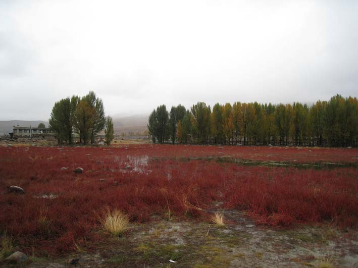 Ǻݵ-2.jpg