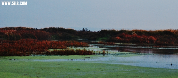 DSC_0708.JPG