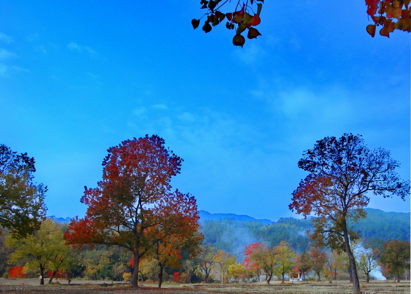 DSC01860a.jpg